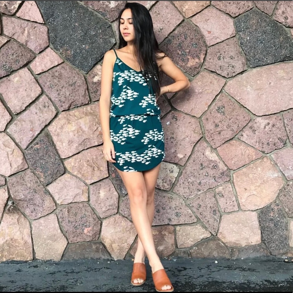 Dress Pebble in Green Fish